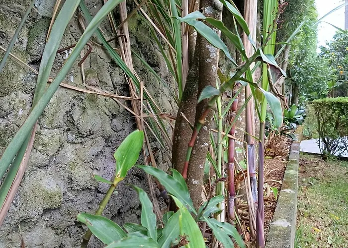 Cantinho Da Luz Gasthuis