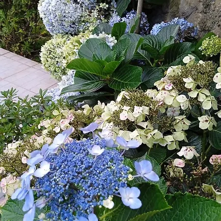 بيت ضيافة Cantinho Da Luz