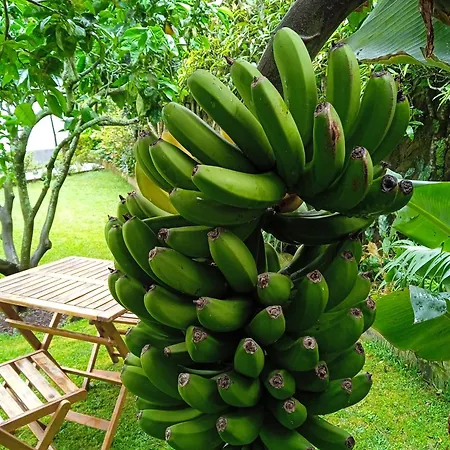 Cantinho Da Luz Maison d'hôtes Ponta Delgada