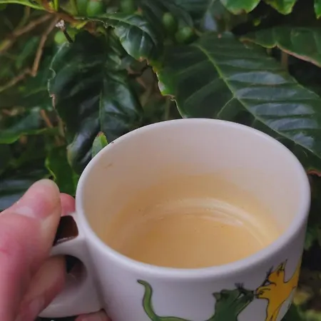 Cantinho Da Luz بيت ضيافة