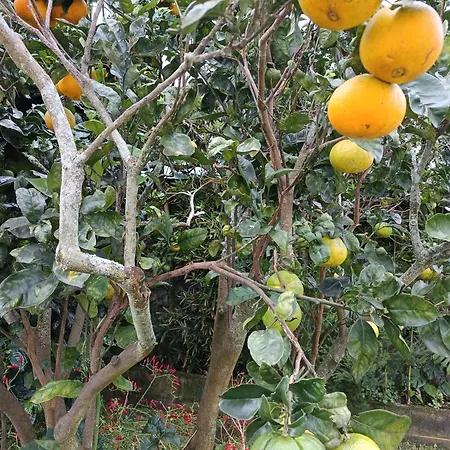 Cantinho Da Luz Maison d'hôtes 4*