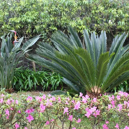 Cantinho Da Luz بيت ضيافة