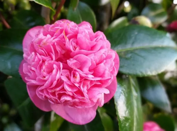 게스트하우스 Cantinho Da Luz 3*