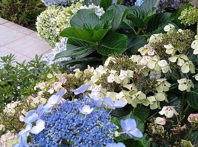 בית הארחה Cantinho Da Luz