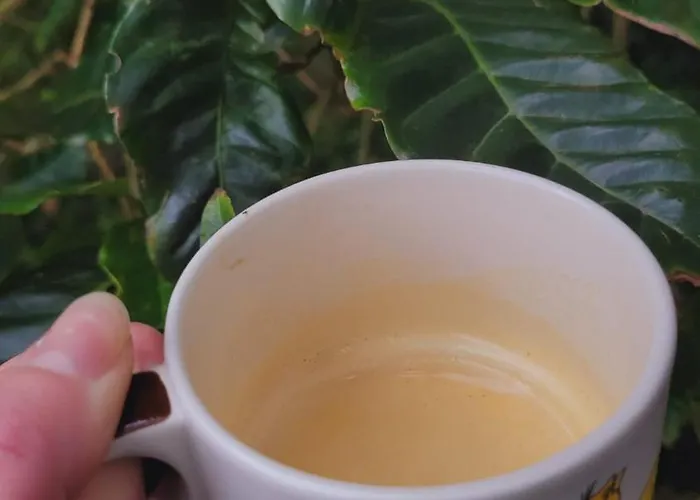 Cantinho Da Luz בית הארחה