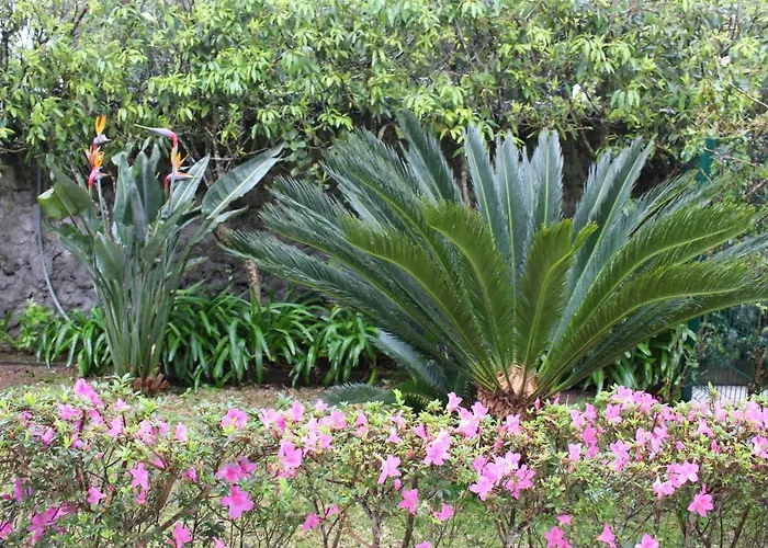 Cantinho Da Luz 게스트하우스